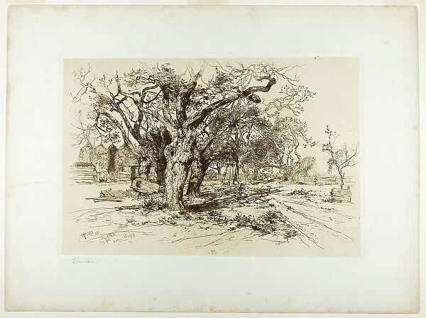 Mulford's Orchard, Easthampton, 1883. Creator: Thomas Moran