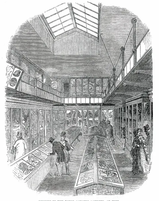 Framed Print : Museum in the Royal Botanic Gardens, at Kew, 1850. Creator: Unknown Framed Print : Museum in the Royal Botanic Gardens, at Kew, 1850. Creator: Unknown