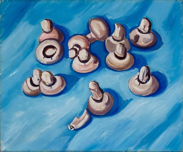 Framed Print : Mushrooms on a Blue Background, 1929. Creator: Marsden Hartley Framed Print : Mushrooms on a Blue Background, 1929. Creator: Marsden Hartley