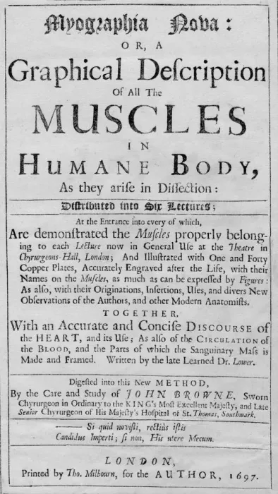 Framed Print : Myographia Nova: or a Graphical Description of all the Muscles in Humane Body, As they are in Disse Framed Print : Myographia Nova: or a Graphical Description of all the Muscles in Humane Body, As they are in Disse