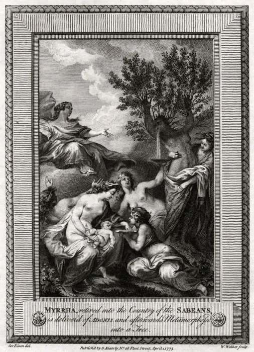 Framed Print : Myrrha, retired into the Country of the Sabeans, is delivered of Adonis... 1775. Artist: W Walker Framed Print : Myrrha, retired into the Country of the Sabeans, is delivered of Adonis... 1775. Artist: W Walker