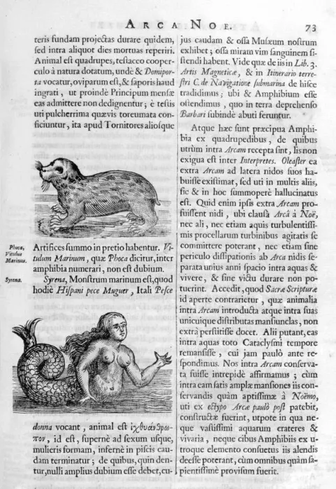 Framed Print : Mythical creatures, 1675. Artist: Athanasius Kircher Framed Print : Mythical creatures, 1675. Artist: Athanasius Kircher