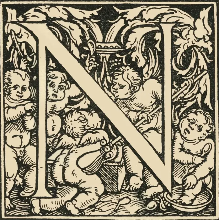 Framed Print : N - An Alphabet by Hans Weiditz, c1520-1521, (1908). Creator: Hans Weiditz Framed Print : N - An Alphabet by Hans Weiditz, c1520-1521, (1908). Creator: Hans Weiditz