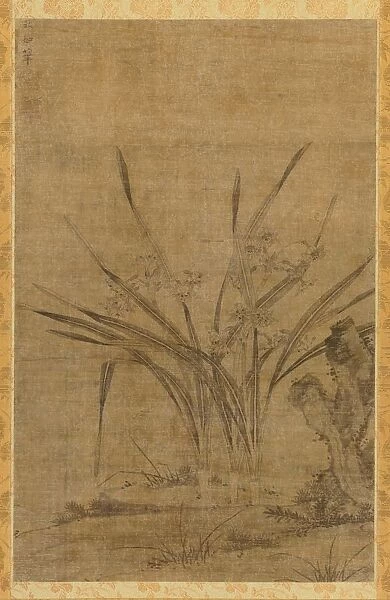 Narcissus and Rocks, 1368-1644. Creator: Lu Tianru (Chinese, first half of 1400s)
