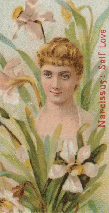 Framed Print : Narcissus: Self Love, from the series Floral Beauties and Language of Flowers (N75 Framed Print : Narcissus: Self Love, from the series Floral Beauties and Language of Flowers (N75