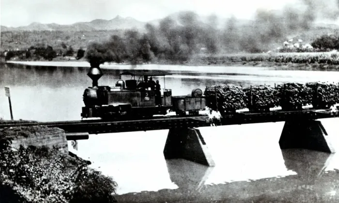 Framed Print : Narrow track train in the fields of Cuba, transporting sugar cane to the factories, photograph 1920 Framed Print : Narrow track train in the fields of Cuba, transporting sugar cane to the factories, photograph 1920