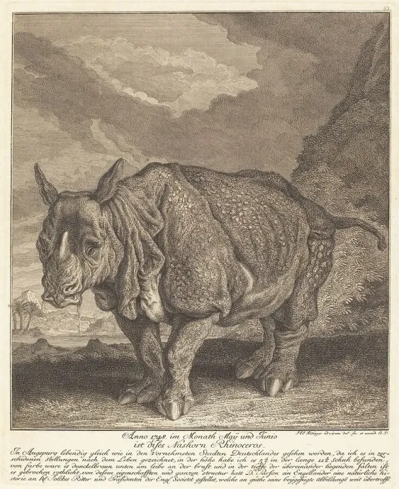 Framed Print : Nashorn Rhinoceros, 1748. Creator: Johann Elias Ridinger Framed Print : Nashorn Rhinoceros, 1748. Creator: Johann Elias Ridinger