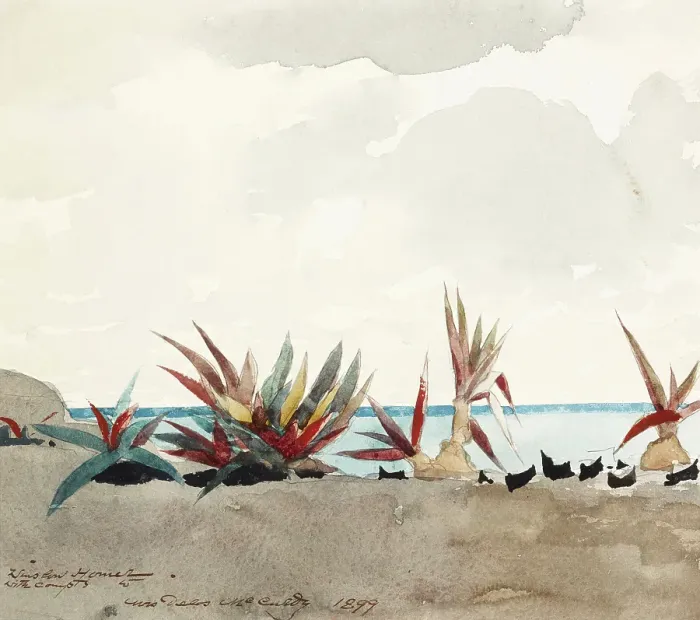 Framed Print : Nassau Beach with Century Plants, 1899. Creator: Winslow Homer Framed Print : Nassau Beach with Century Plants, 1899. Creator: Winslow Homer