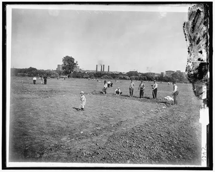 Framed Print : National Emergency Food Garden, between 1910 and 1920. Creator: Harris & Ewing. National Emergency Food Garden, between 1910 and 1920. Creator: Harris & Ewing