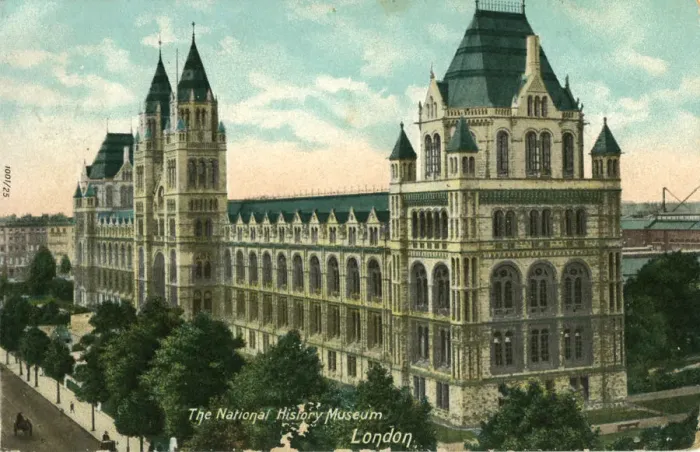 Framed Print : The National History Museum, London Framed Print : The National History Museum, London