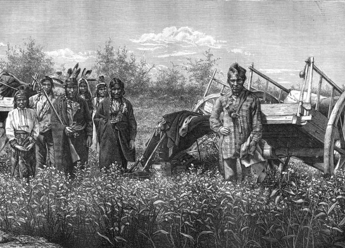 Framed Print : Native Canadians, 19th century. Artist: Dupuy Framed Print : Native Canadians, 19th century. Artist: Dupuy