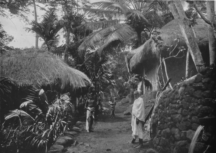 Framed Print : Native Huts in the Jungle, c1890, (1910). Artist: Alfred William Amandus Plate Framed Print : Native Huts in the Jungle, c1890, (1910). Artist: Alfred William Amandus Plate