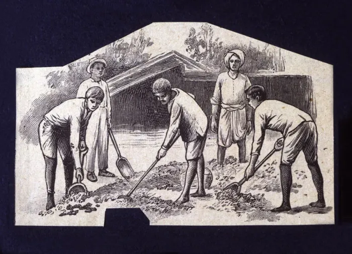 Framed Print : Native spreading cocoa beans to dry at sun, drawing, 1914