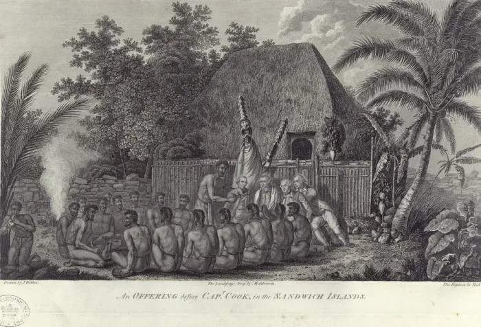 Framed Print : Natives of the Sandwich Islands, Hawaii, slaughtering swine before Captain Cook, c1778 Framed Print : Natives of the Sandwich Islands, Hawaii, slaughtering swine before Captain Cook, c1778