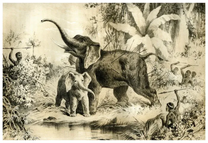 Framed Print : Natives Spearing an Elephant, 1883 Framed Print : Natives Spearing an Elephant, 1883