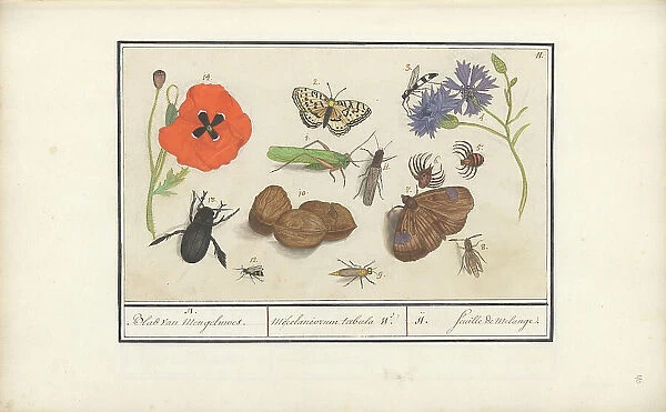 Natural History Ensemble (No. 11), 1596-1610. Creators: Elias Verhulst, Anselmus de Boodt