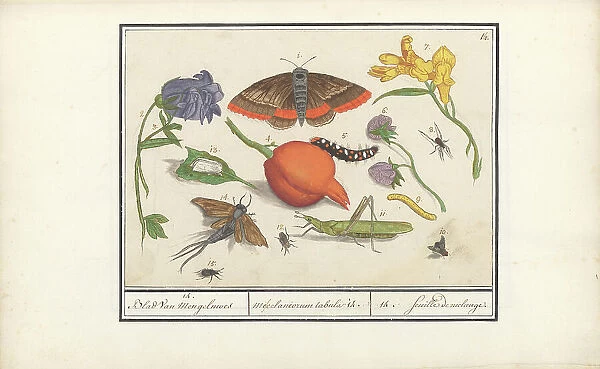 Natural History Ensemble (No. 14), 1596-1610. Creators: Elias Verhulst, Anselmus de Boodt