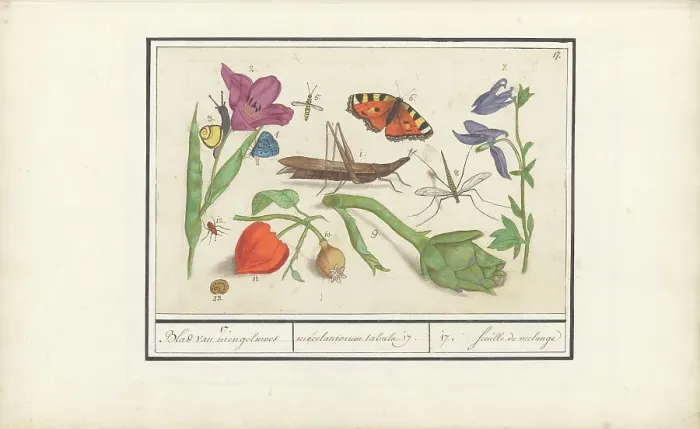 Framed Print : Natural History Ensemble (No. 17), 1596-1610. Creators: Elias Verhulst, Anselmus de Boodt Framed Print : Natural History Ensemble (No. 17), 1596-1610. Creators: Elias Verhulst, Anselmus de Boodt