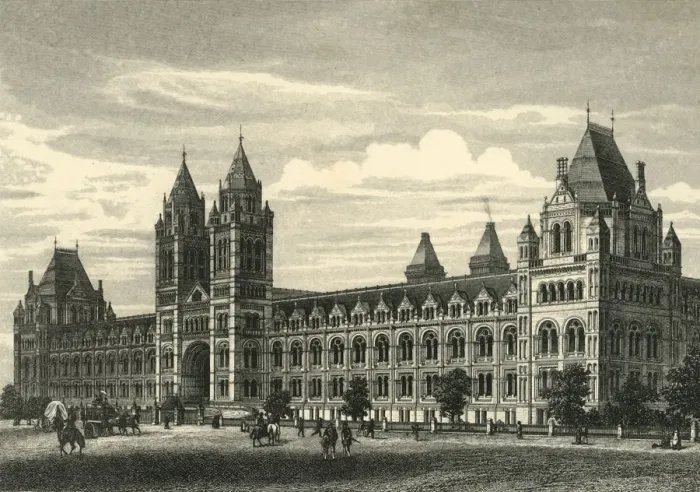 Framed Print : The Natural History Museum, South Kensington, c1876. Creator: Unknown Framed Print : The Natural History Museum, South Kensington, c1876. Creator: Unknown