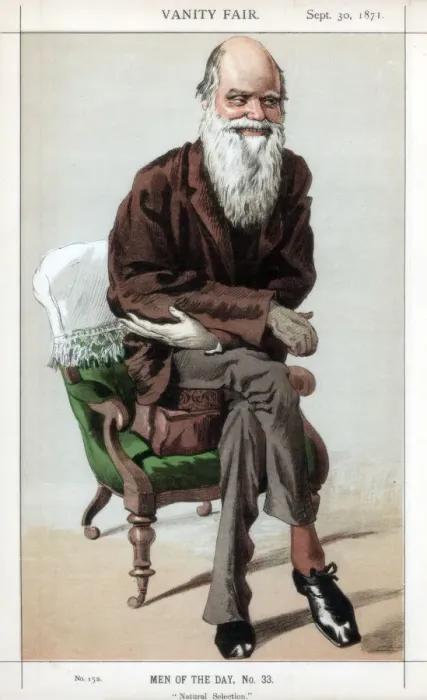 Framed Print : Natural Selection, 1871. Artist: Coide Framed Print : Natural Selection, 1871. Artist: Coide