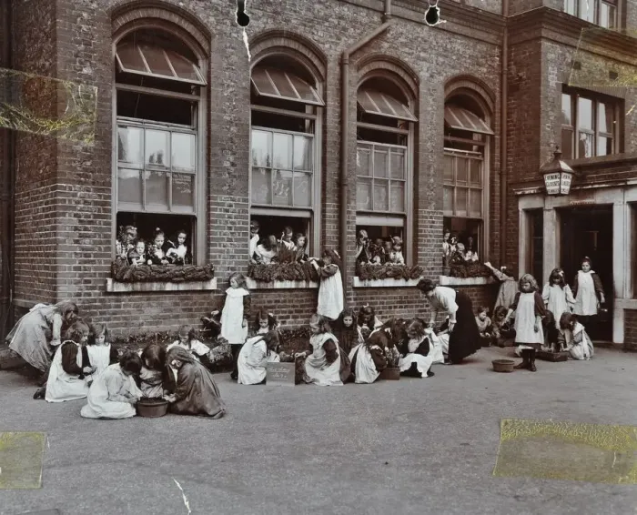 Framed Print : Nature class in the playground, Albion Street Girls School, Rotherhithe, London, 1908 Framed Print : Nature class in the playground, Albion Street Girls School, Rotherhithe, London, 1908