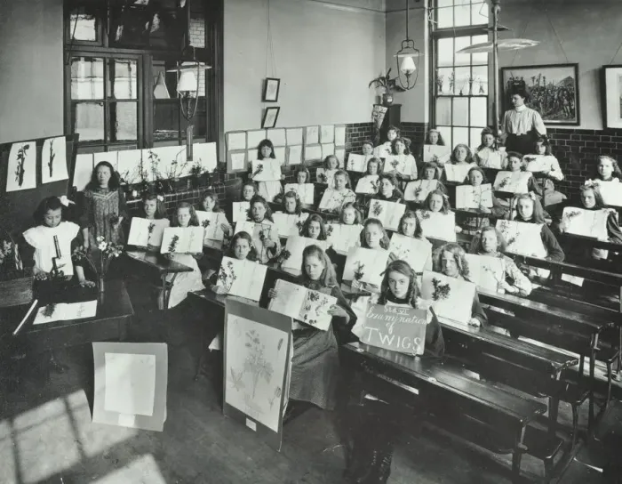 Framed Print : Nature lesson, Albion Street Girls School, Rotherhithe, London, 1908 Framed Print : Nature lesson, Albion Street Girls School, Rotherhithe, London, 1908