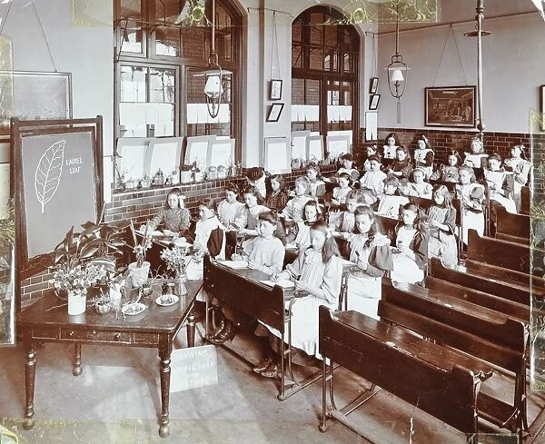 Nature lesson, Albion Street Girls School, Rotherhithe, London, 1908