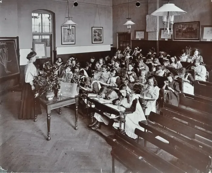 Framed Print : Nature lesson, Albion Street Girls School, Rotherhithe, London, 1908 Framed Print : Nature lesson, Albion Street Girls School, Rotherhithe, London, 1908