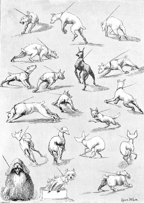 Framed Print : Nature's Fitful Moments: sketches at the Kennel Club Dog Show, 1890. Creator: Carl Hentschel. Nature's Fitful Moments: sketches at the Kennel Club Dog Show, 1890 Framed Print : Nature's Fitful Moments: sketches at the Kennel Club Dog Show, 1890. Creator: Carl Hentschel. Nature's Fitful Moments: sketches at the Kennel Club Dog Show, 1890
