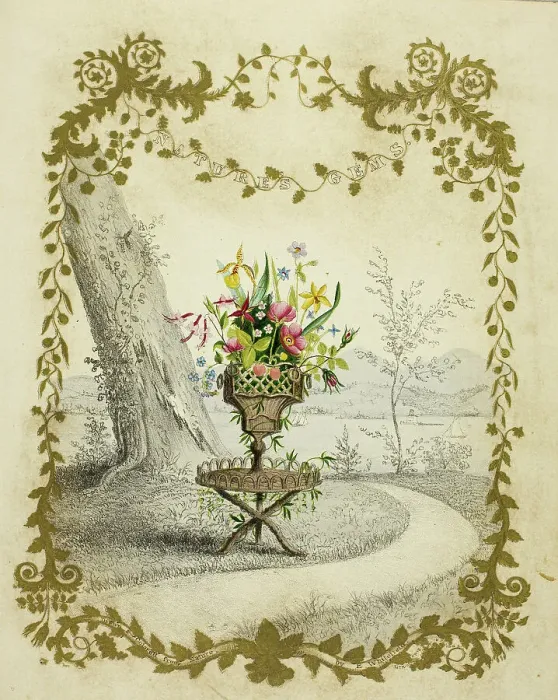 Framed Print : Nature's Gems, c.1844. Creator: Edwin Whitefield Framed Print : Nature's Gems, c.1844. Creator: Edwin Whitefield