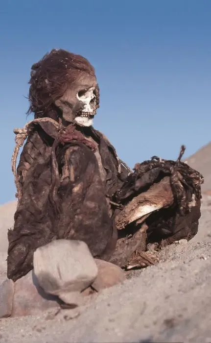 Framed Print : Nazca Mummies, Ica, Peru, 2015. Creator: Luis Rosendo Framed Print : Nazca Mummies, Ica, Peru, 2015. Creator: Luis Rosendo