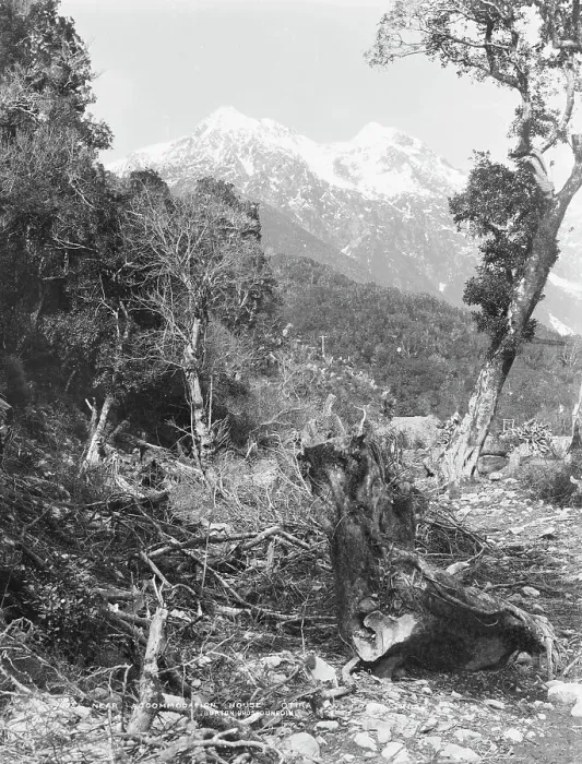 Framed Print : Near accommodation house, Otira, West Coast Road, c.1880. Creator: Burton Brothers