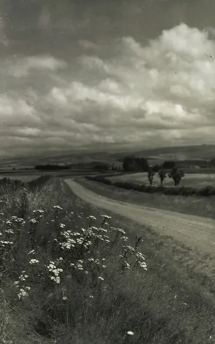 Framed Print : Near Ashburton, c1920-1946. Creator: Thelma Kent Framed Print : Near Ashburton, c1920-1946. Creator: Thelma Kent