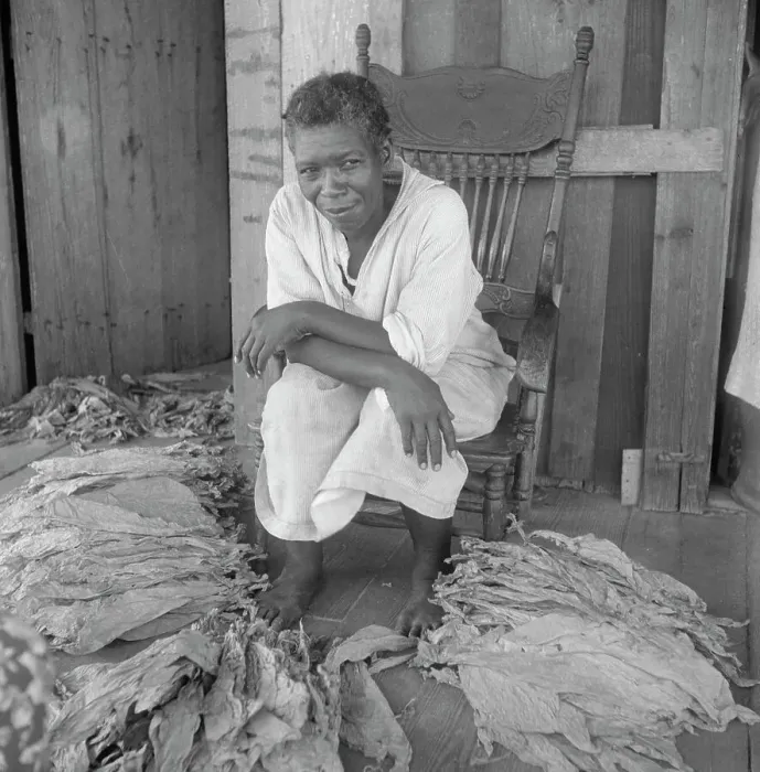 Framed Print : Near Douglas, Georgia. Sharecroppers grade the cured leaves, 1938. Creator: Dorothea Lange Framed Print : Near Douglas, Georgia. Sharecroppers grade the cured leaves, 1938. Creator: Dorothea Lange