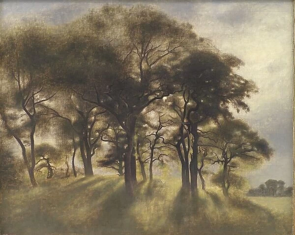Near Fortunen, Jægersborg Deer Park, North of Copenhagen;From the Deerpark near Copenhagen, 1901. Creator: Vilhelm Hammershøi