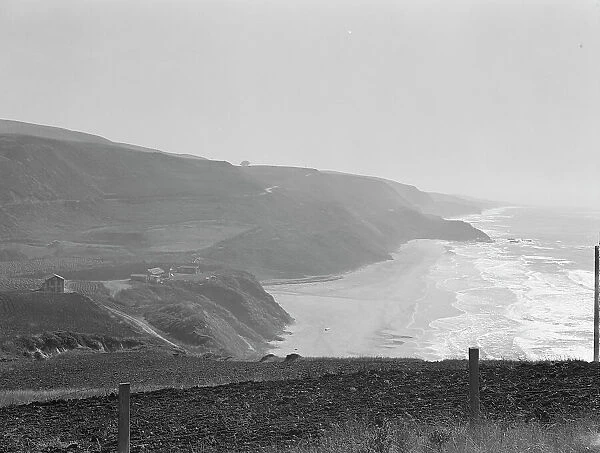 Near Half Moon Bay, California coast, 1938. Creator: Dorothea Lange