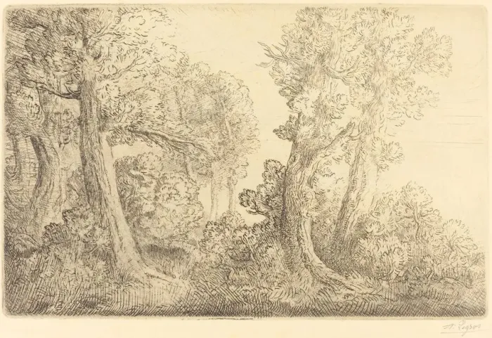 Framed Print : Near the Woods, Veronne (Pres du bois, Veronne). Creator: Alphonse Legros Framed Print : Near the Woods, Veronne (Pres du bois, Veronne). Creator: Alphonse Legros