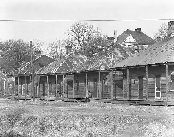 Negro houses, Vicksburg, Mississippi, 1936. Creator: Walker Evans