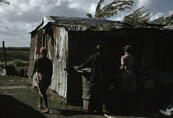 Negro migratory workers and one shack, Belle Glade, Fla. 1941. Creator: Marion Post Wolcott