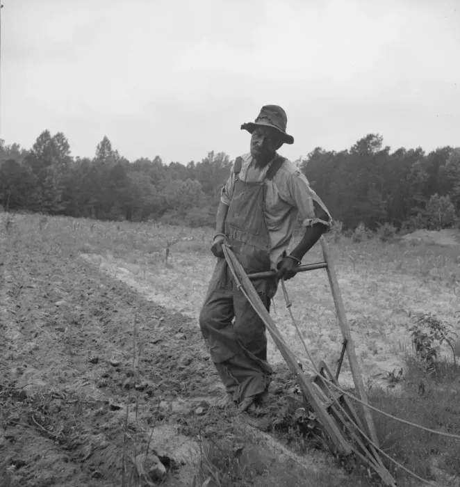 Framed Print : Negro plowing corn, on dirt road from Highway 144, Person County, North Carolina, 1939. Creator: Dorothea Lange Framed Print : Negro plowing corn, on dirt road from Highway 144, Person County, North Carolina, 1939. Creator: Dorothea Lange