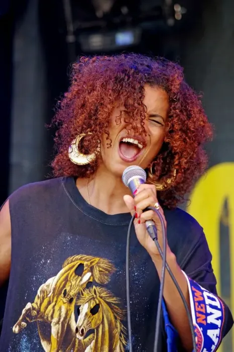Framed Print : Neneh Cherry, Love Supreme Jazz Festival, Glynde Place, East Sussex, 2015. Artist: Brian O Connor Framed Print : Neneh Cherry, Love Supreme Jazz Festival, Glynde Place, East Sussex, 2015. Artist: Brian O Connor
