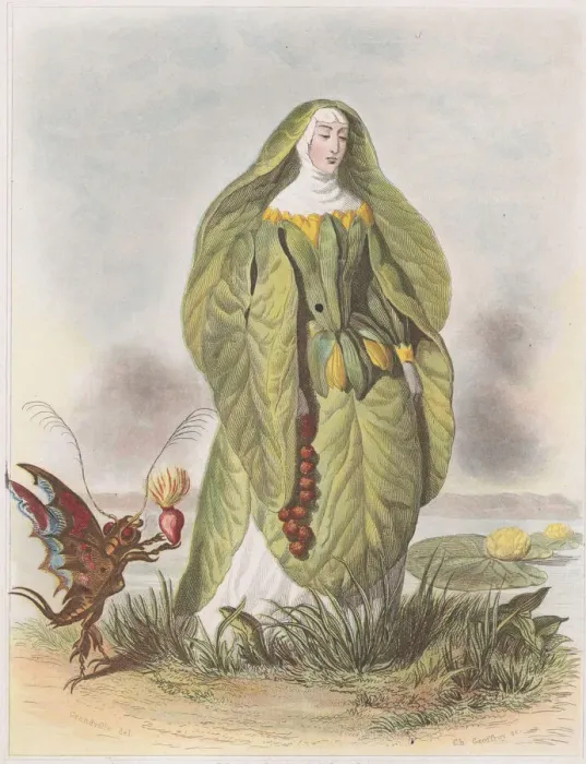 Framed Print : Nenuphar, from Les Fleurs Animees, 1847. Creator: Charles-Michel Geoffroy Framed Print : Nenuphar, from Les Fleurs Animees, 1847. Creator: Charles-Michel Geoffroy