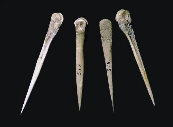 Neolithic bone pins from the Skara Brae Neolithic settlement