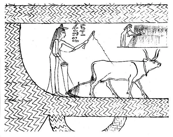 Nesitanebtashru ploughing and reaping, c1025 BC