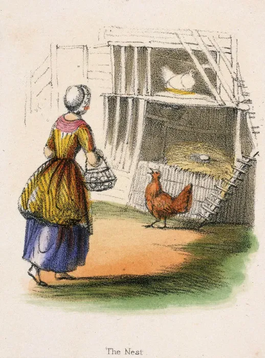 Framed Print : The Nest, c1845. Artist: Robert Kent Thomas