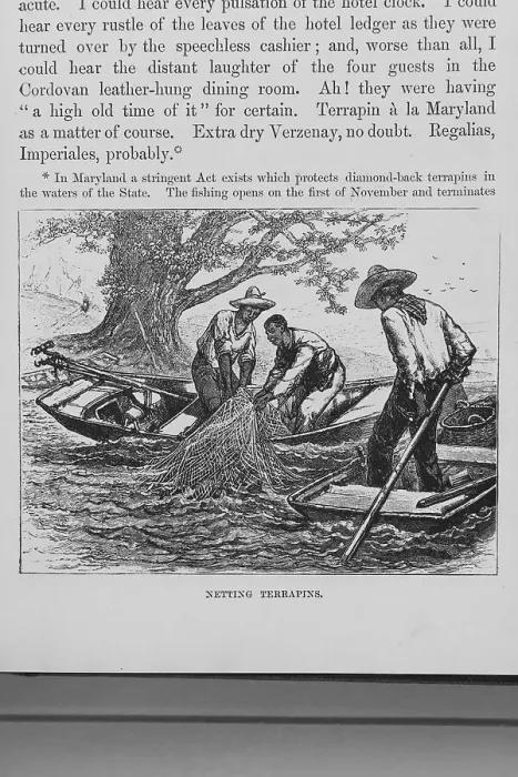 Framed Print : Netting terrapins, 1882. Creator: Unknown