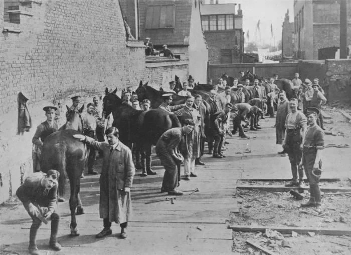 Framed Print : The New Army in training at the Farriers School, 1915 Framed Print : The New Army in training at the Farriers School, 1915