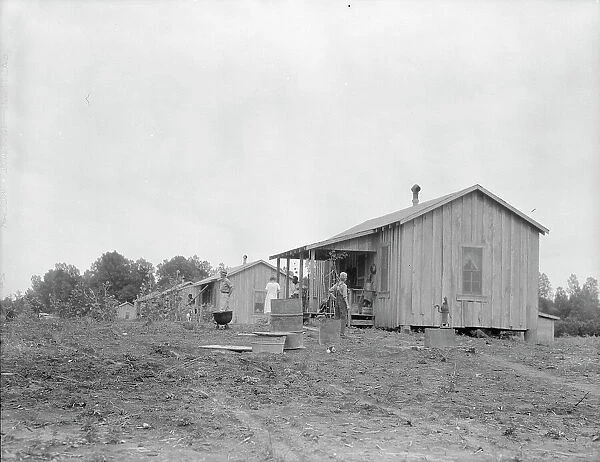 New cabins at Hill House, Mississippi, 1936. Creator: Dorothea Lange
