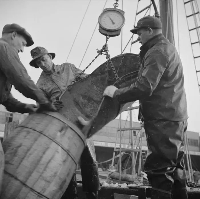 Framed Print : New England fishermen unloading fish at the Fulton fish market, New York, 1943. Creator: Gordon Parks Framed Print : New England fishermen unloading fish at the Fulton fish market, New York, 1943. Creator: Gordon Parks