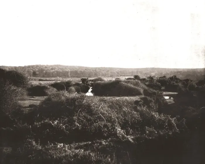Framed Print : The New Forest, Hampshire, 1894. Creator: Unknown Framed Print : The New Forest, Hampshire, 1894. Creator: Unknown